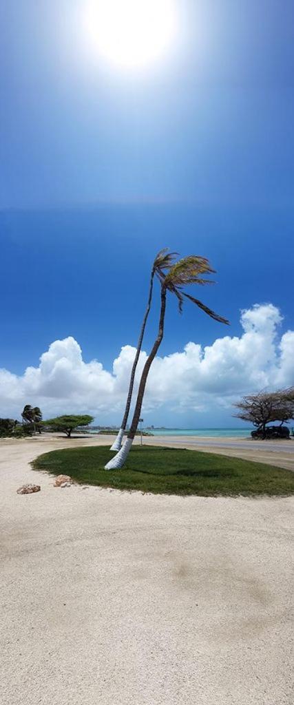 Aruba Beach Villas Palm Beach Zewnętrze zdjęcie