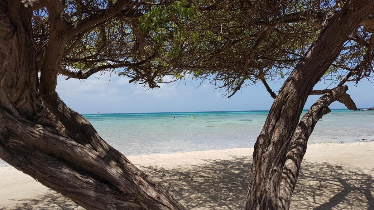 Aruba Beach Villas Palm Beach Zewnętrze zdjęcie